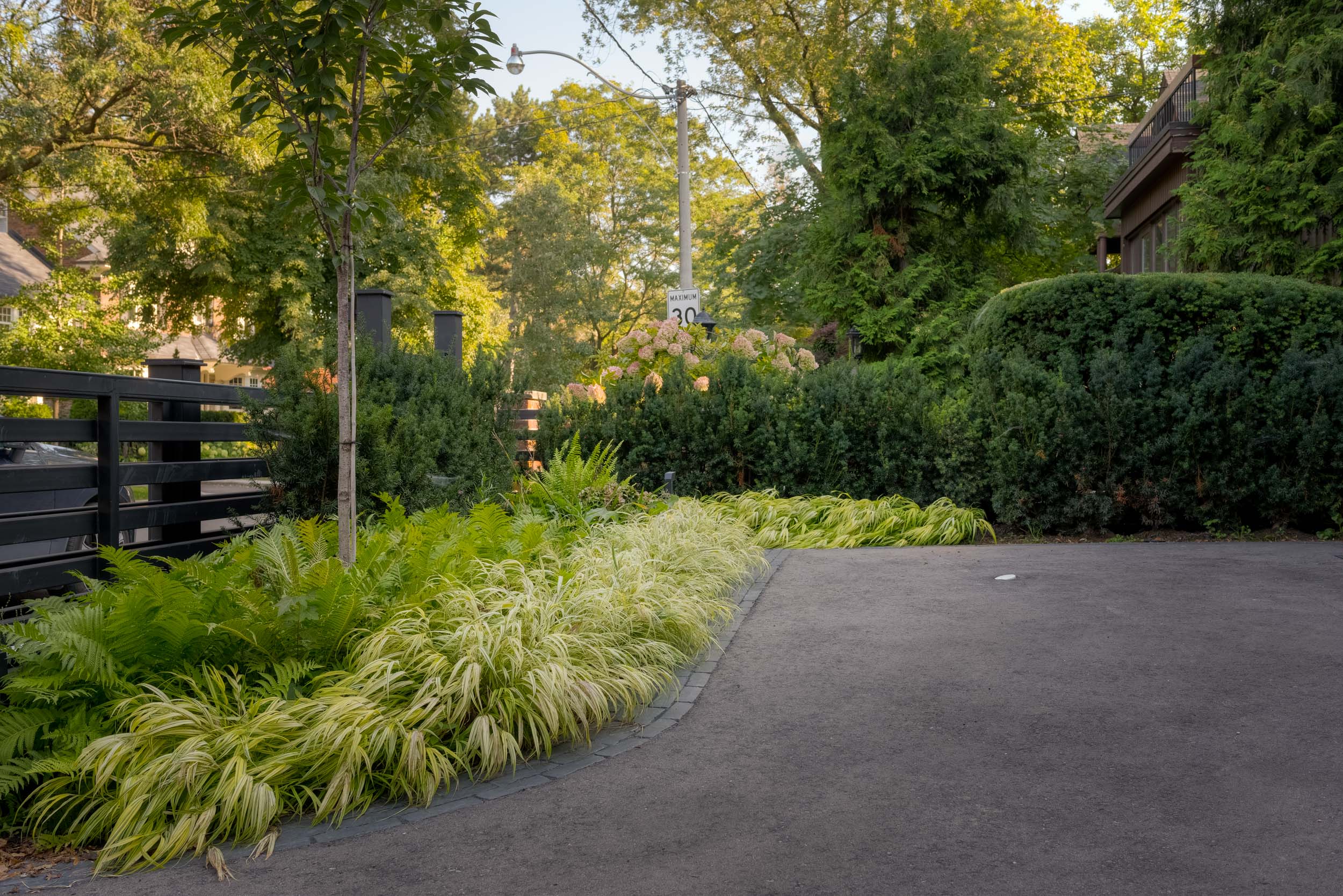 modern metal fencing surrounds a parking pad lined with ornamental grasses