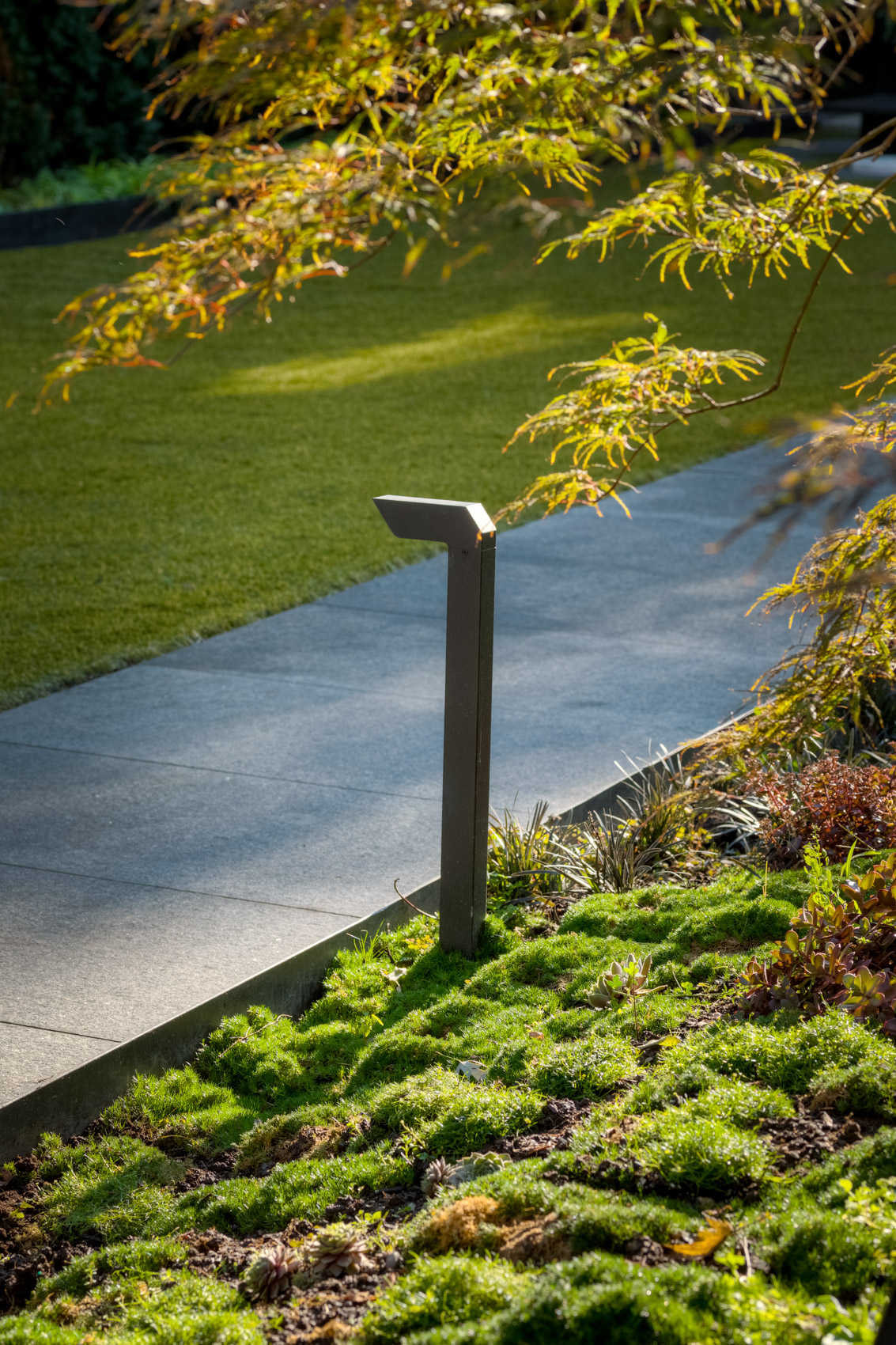 detail view of garden lighting in plantings next to path